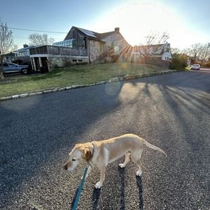 Meet your Posher, Ted